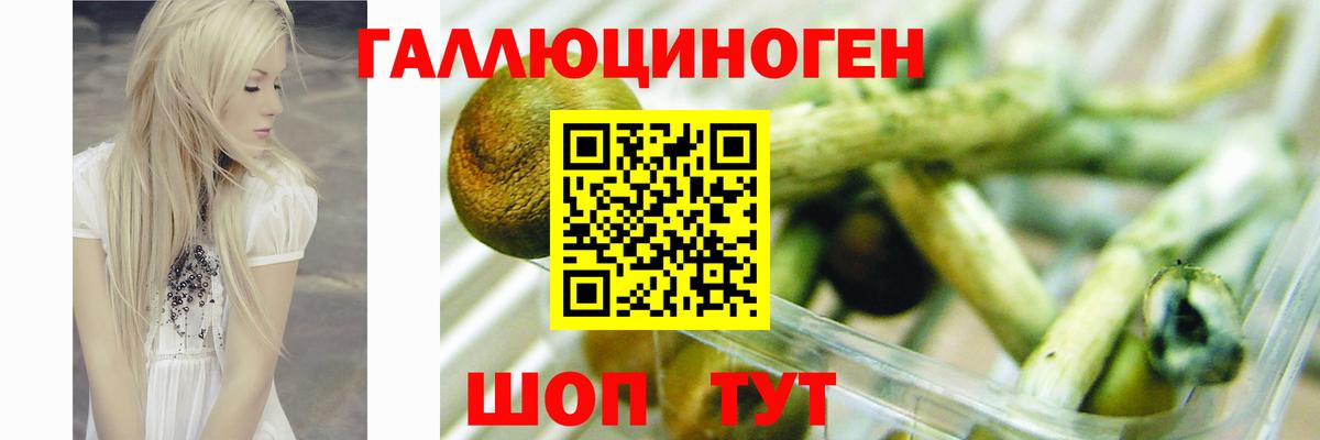 Галлюциногенные грибы прущие грибы Астрахань